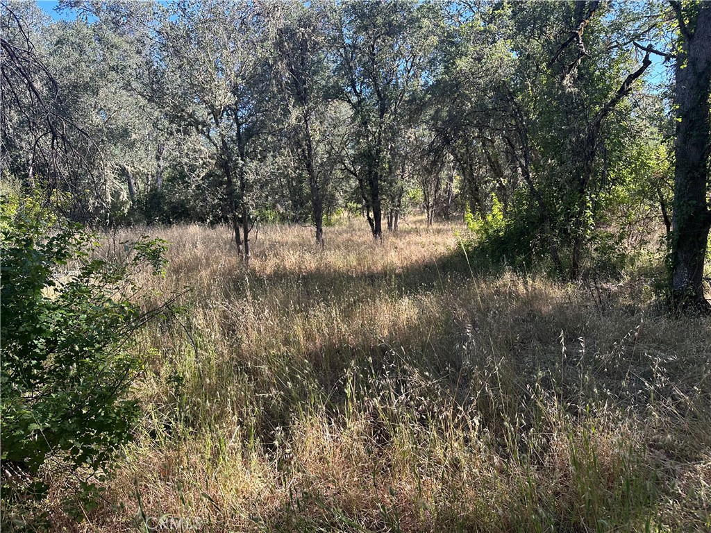 2995 Hill Rd Property Photo 6