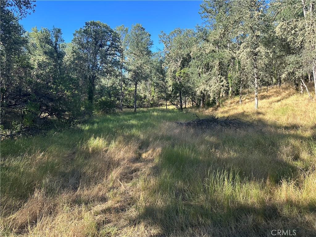 2995 Hill Rd Property Photo 8