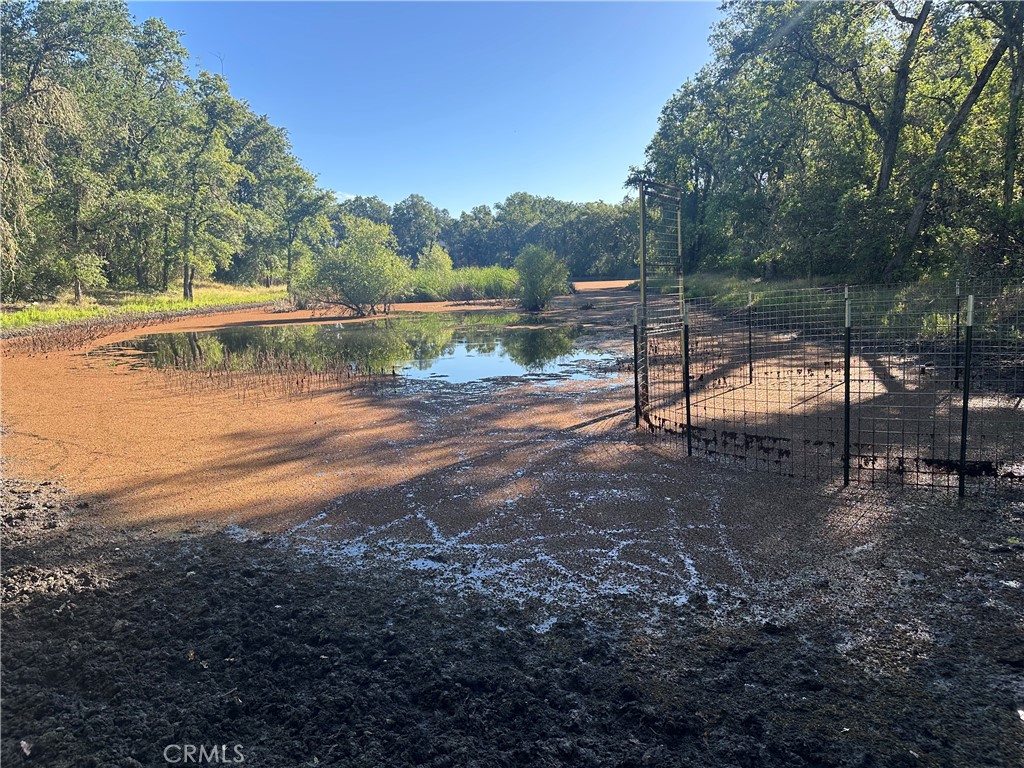 2995 Hill Rd Property Photo 10