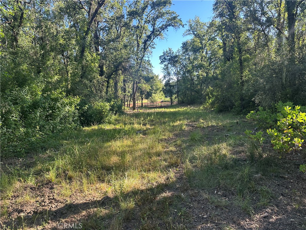2995 Hill Rd Property Photo 11
