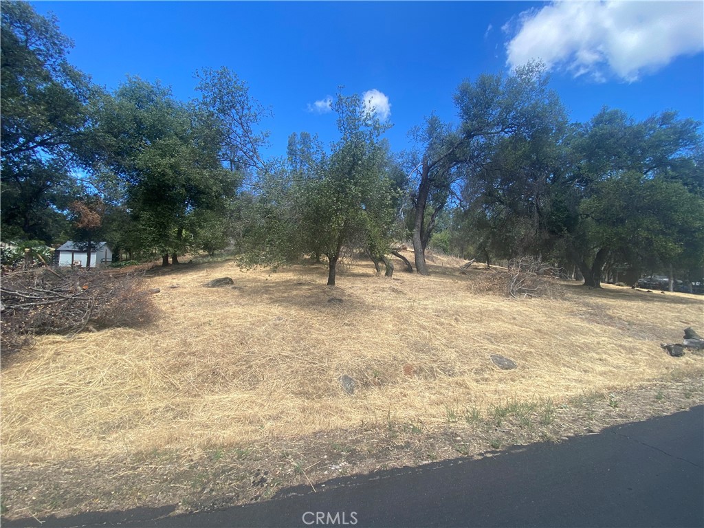 20393 Powder Horn Property Photo 1