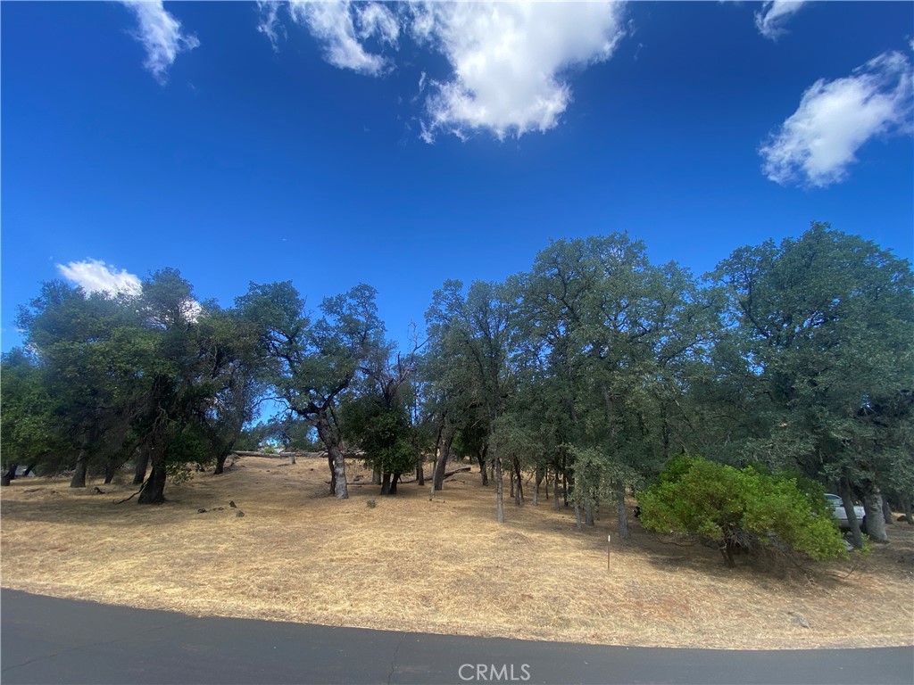 20393 Powder Horn Property Photo 2