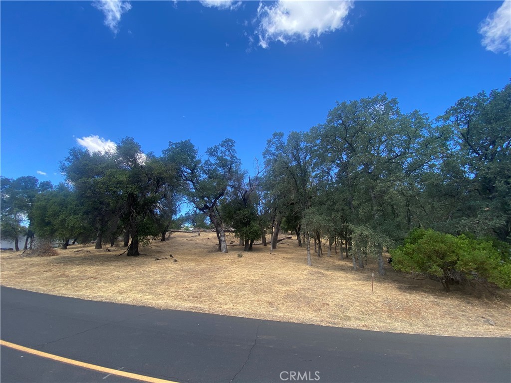 20393 Powder Horn Property Photo 3