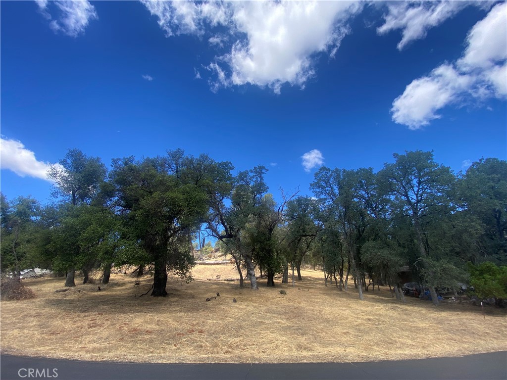 20393 Powder Horn Property Photo 4
