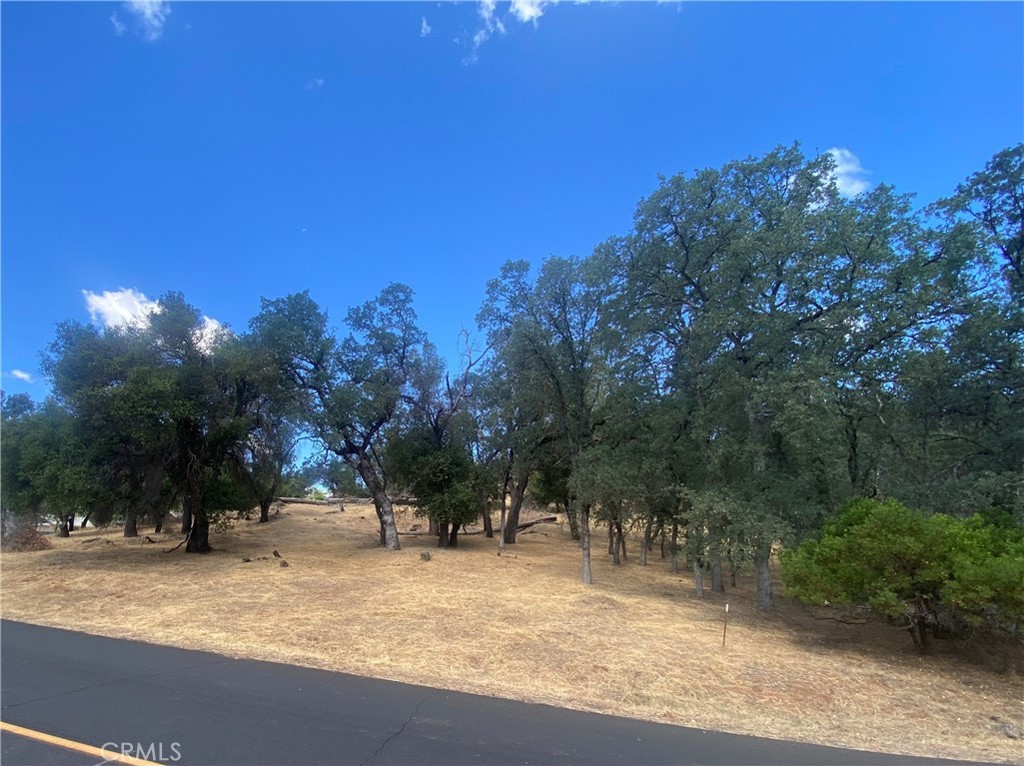 20393 Powder Horn Property Photo 5