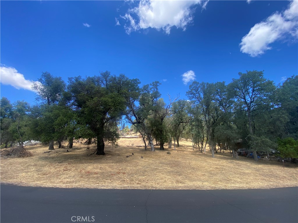 20393 Powder Horn Property Photo 6