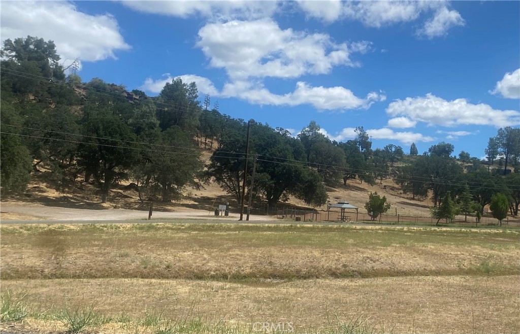 20393 Powder Horn Property Photo 8
