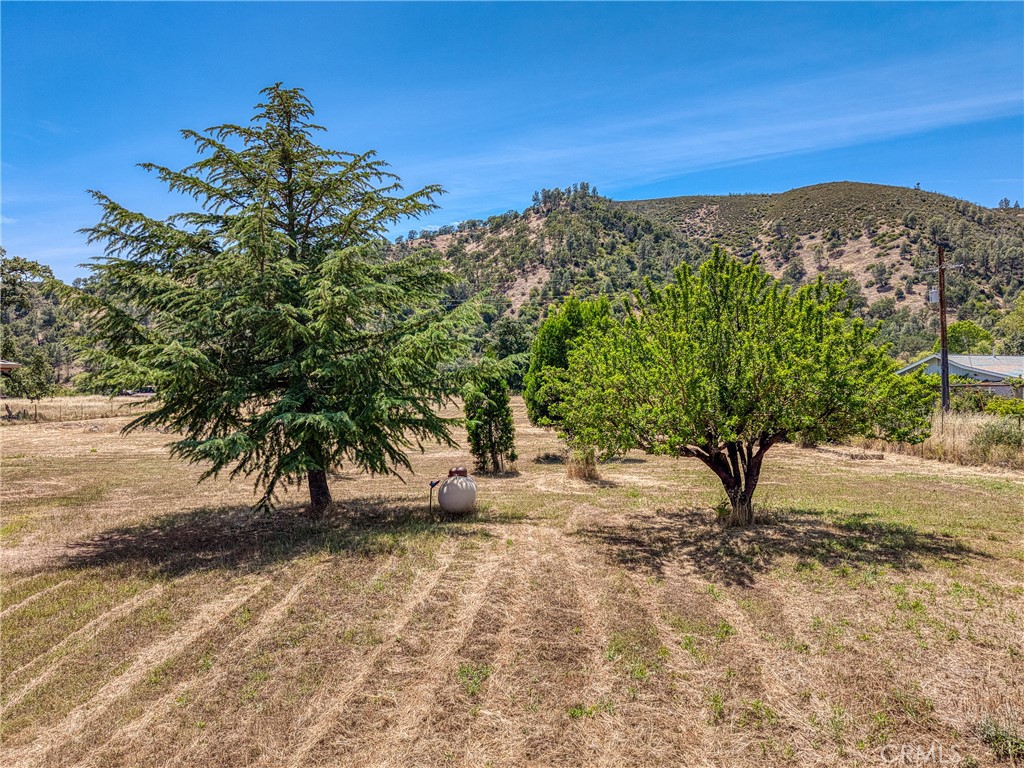 1623 New Long Valley Road Property Photo 6