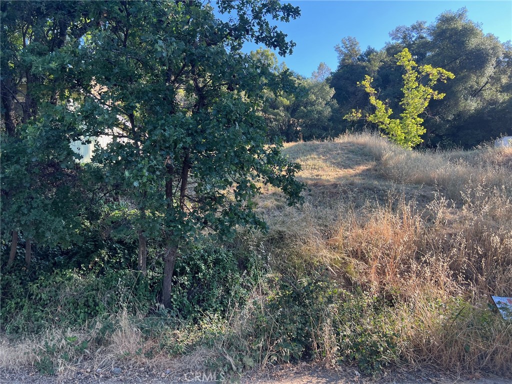 3936 Foothill Property Photo 2