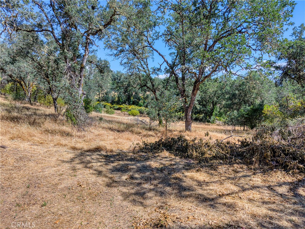 1250 Mockingbird Property Photo 10