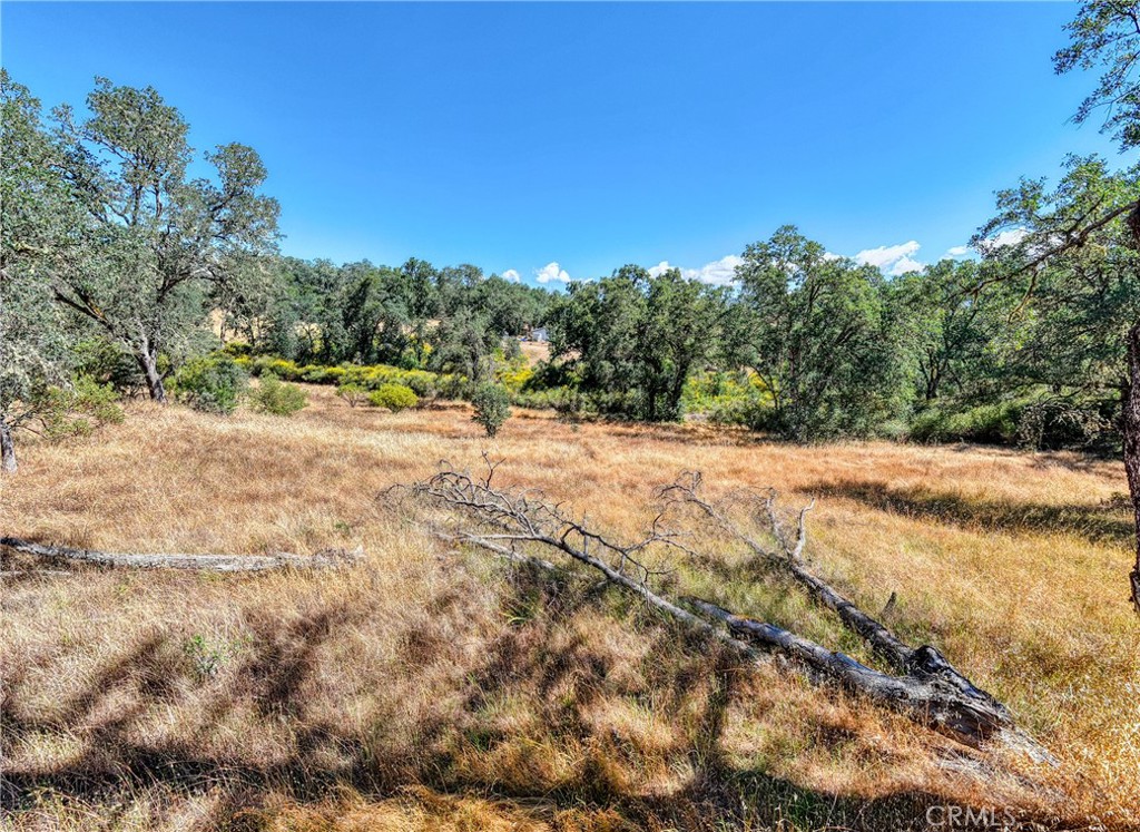 1250 Mockingbird Property Photo 12