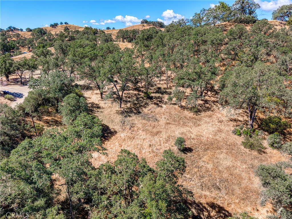 1250 Mockingbird Property Photo 17