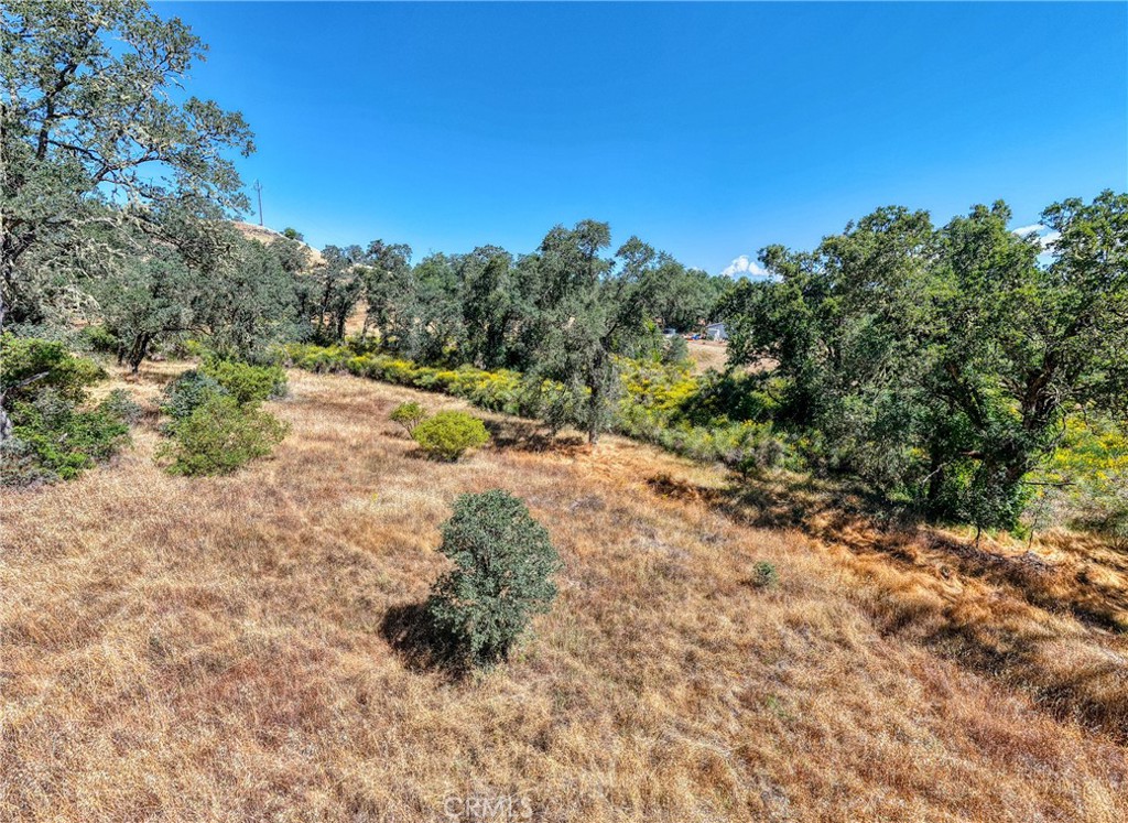 1250 Mockingbird Property Photo 19