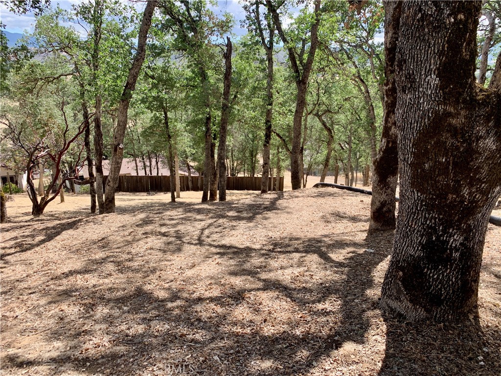18076 Vista Point Ct Property Photo 6