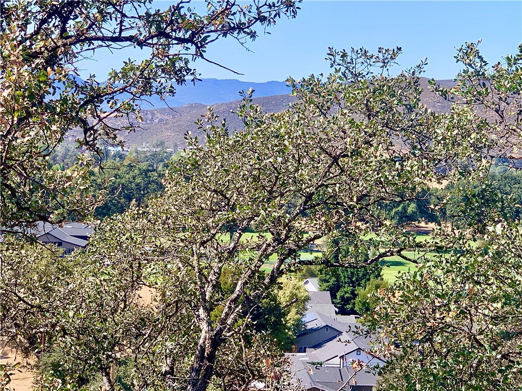 18076 Vista Point Ct Property Photo 43
