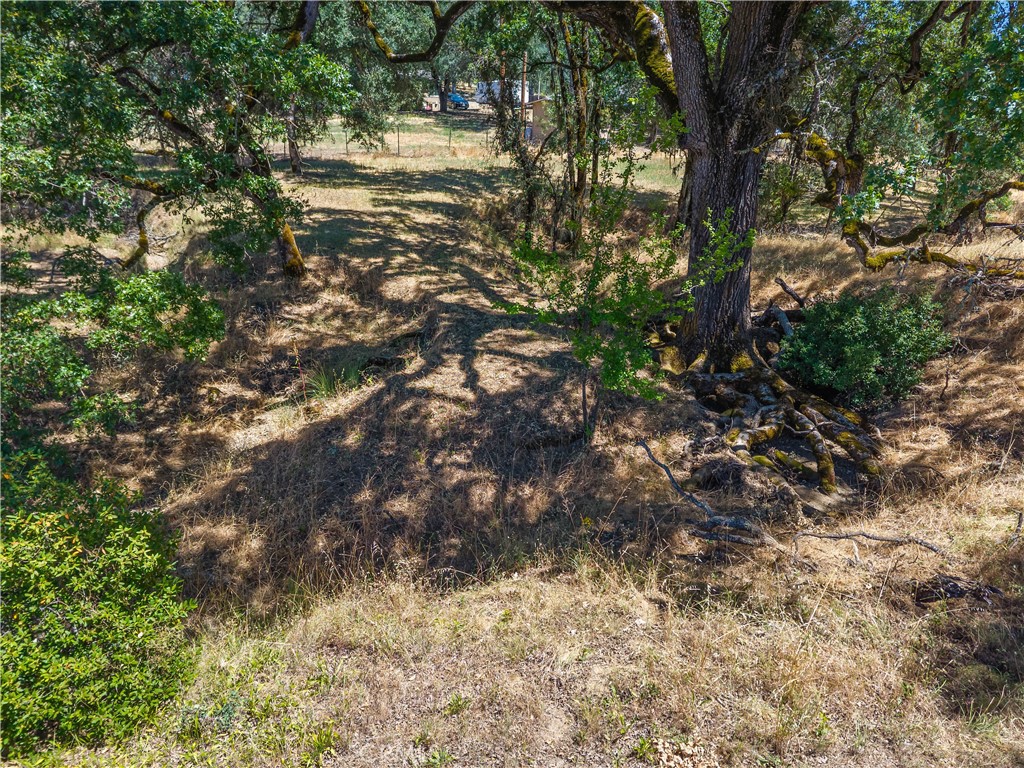 920 Park Way Property Photo 66
