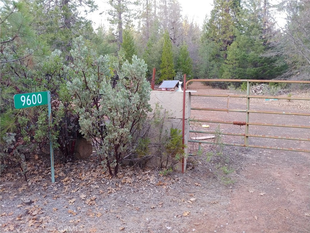 11254 Airstrip Road Property Photo 12