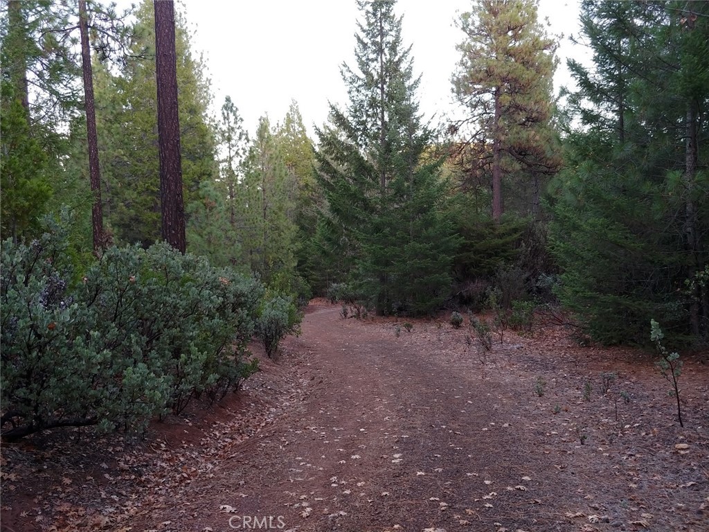 11254 Airstrip Road Property Photo 13