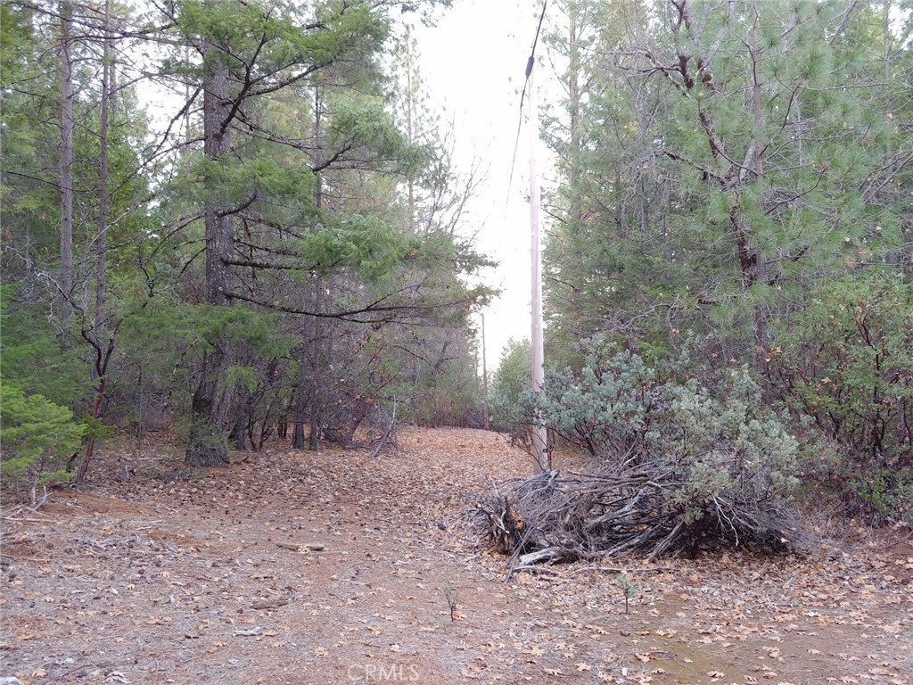 11254 Airstrip Road Property Photo 14