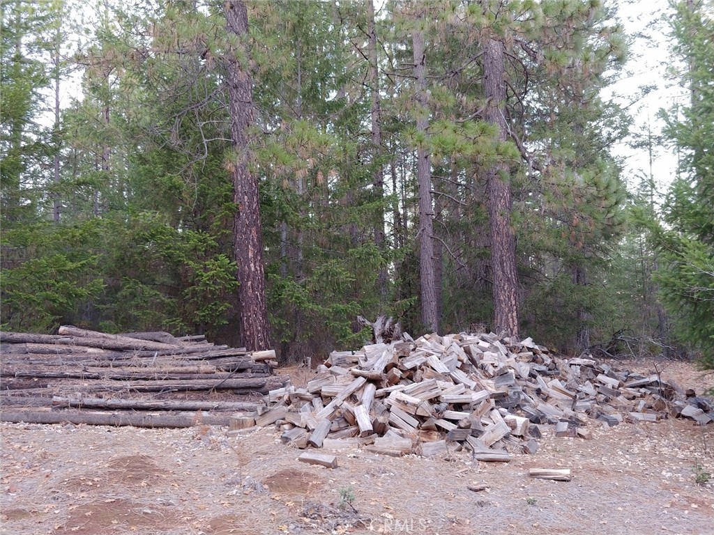 11254 Airstrip Road Property Photo 15