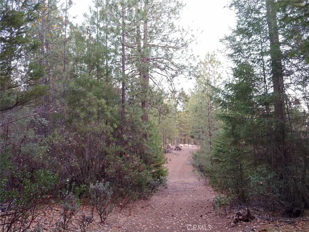 11254 Airstrip Road Property Photo 28
