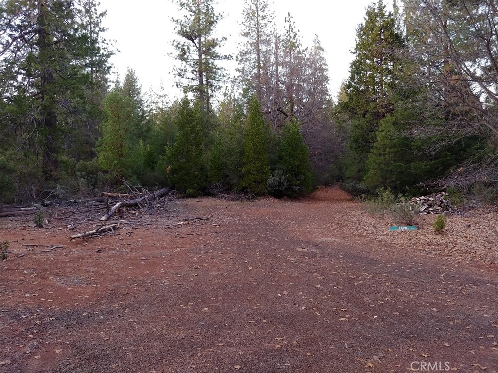 11254 Airstrip Road Property Photo 29