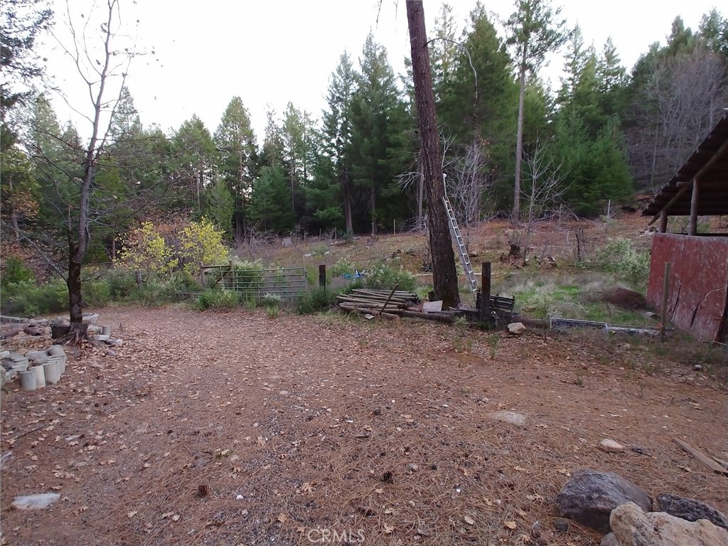 11254 Airstrip Road Property Photo 32