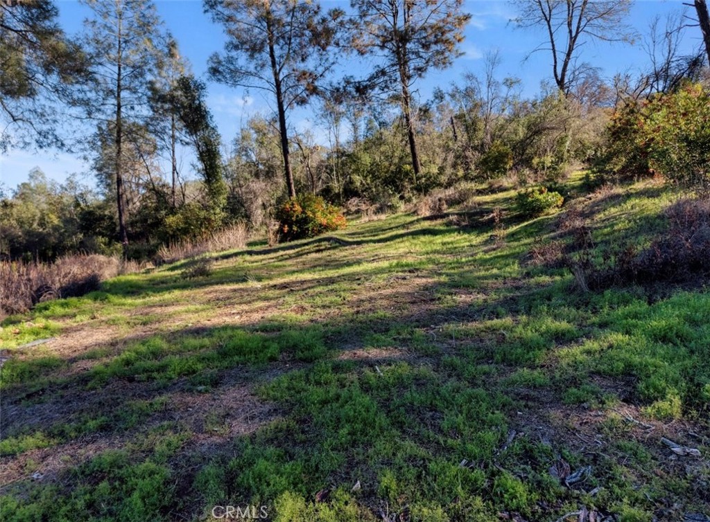 3522 Filmore Avenue Property Photo 8