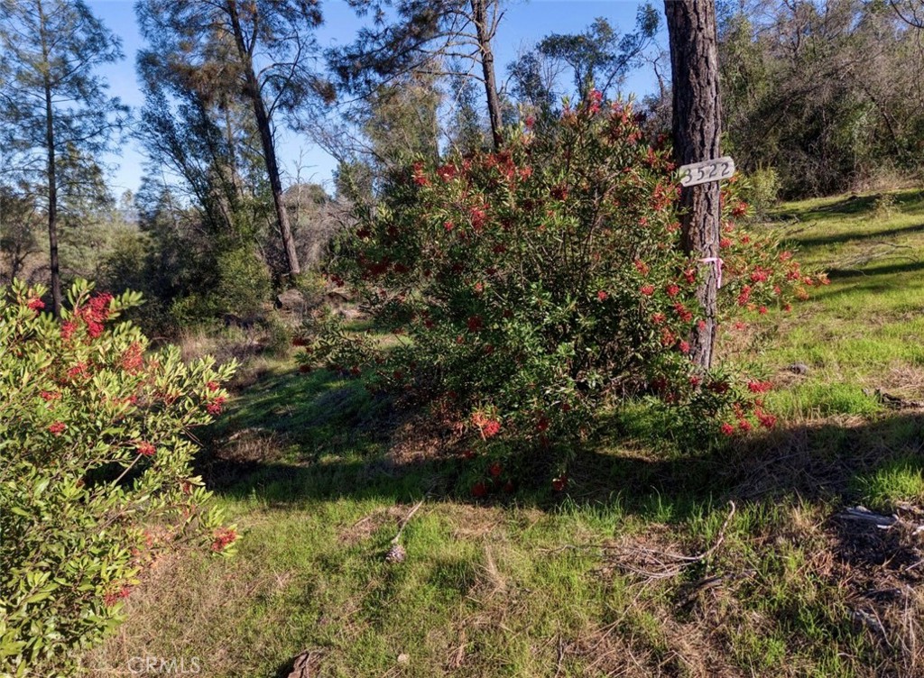 3522 Filmore Avenue Property Photo 9