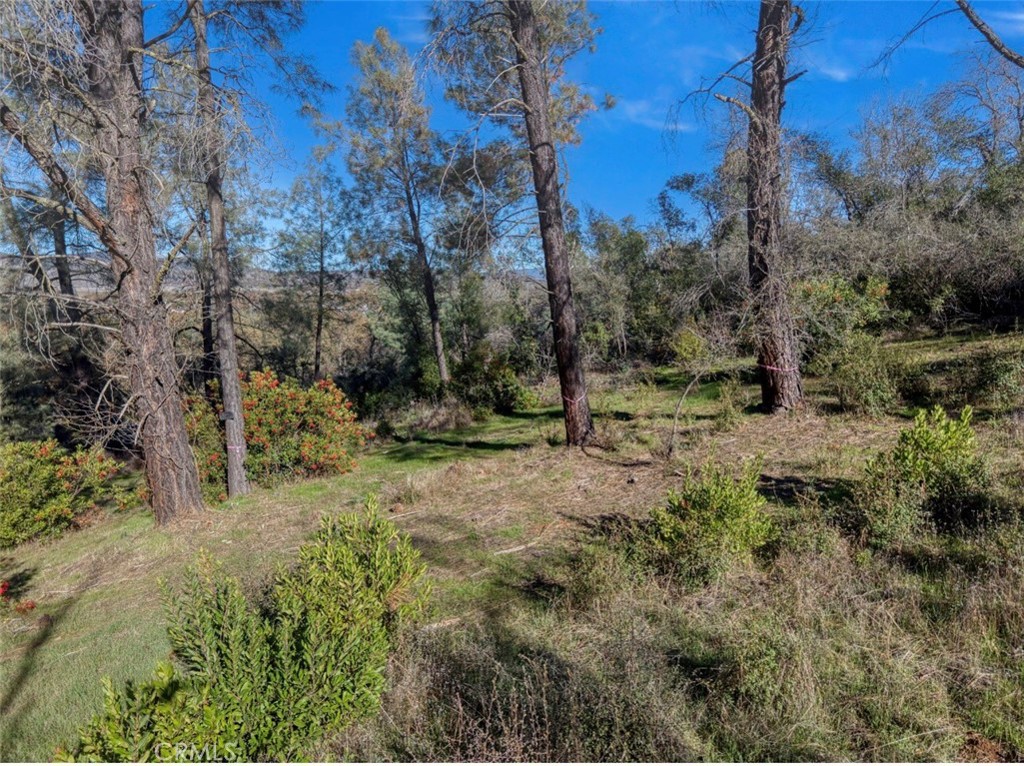 3522 Filmore Avenue Property Photo 10