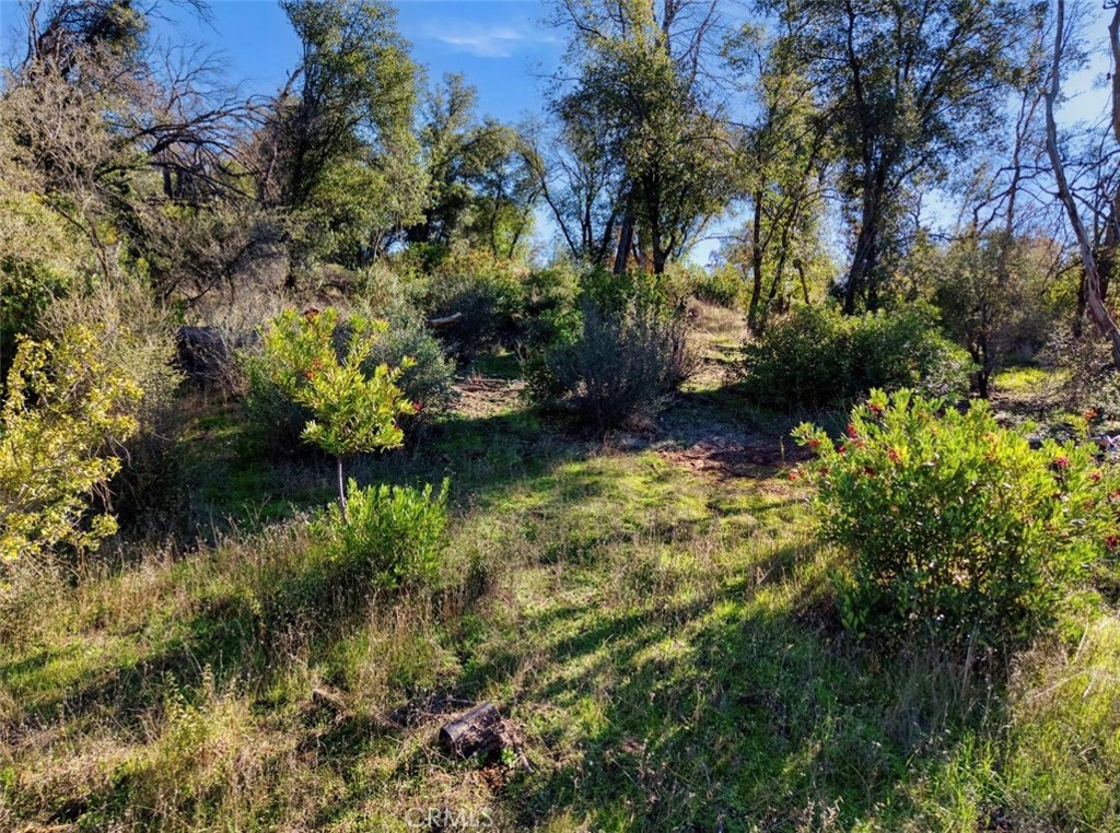 3522 Filmore Avenue Property Photo 15