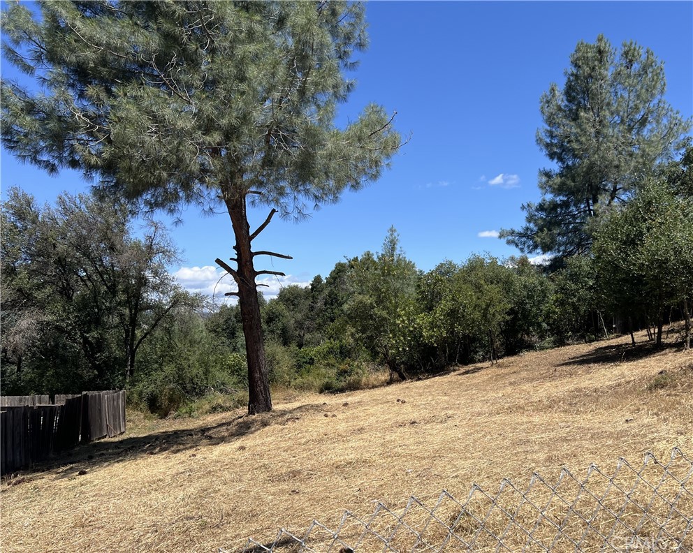 15686 23rd Avenue Property Photo 1