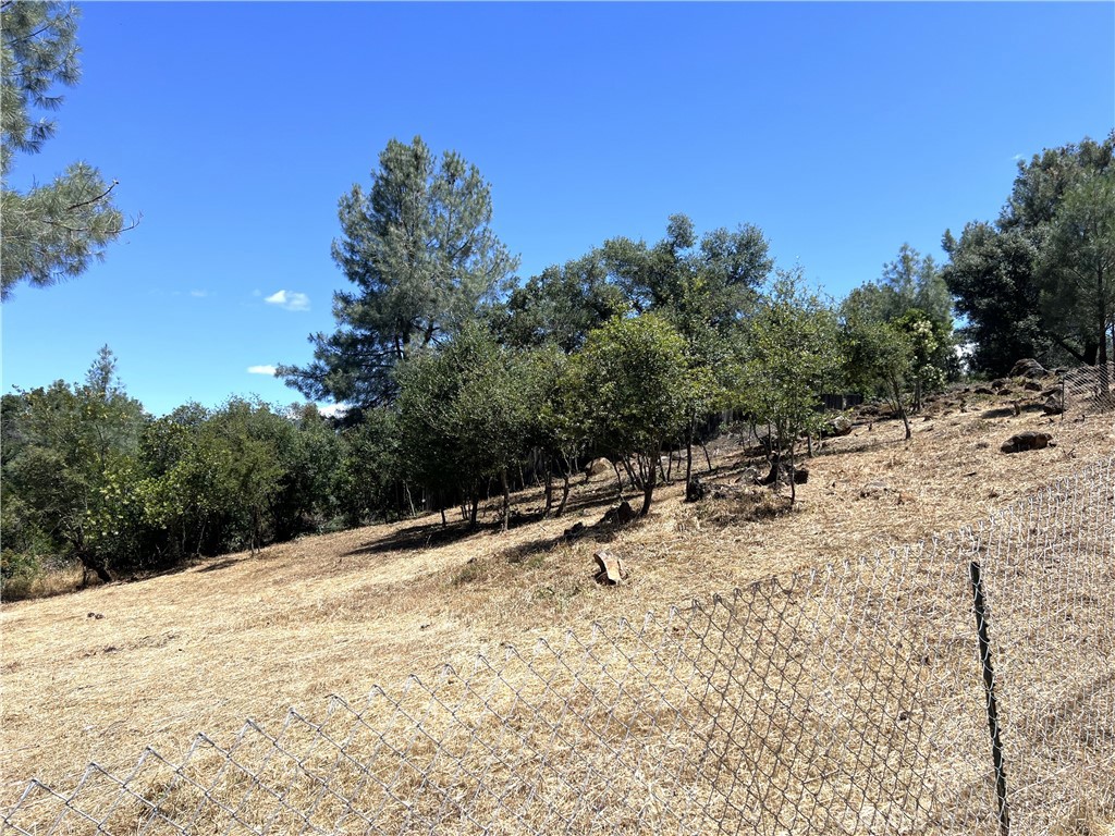15686 23rd Avenue Property Photo 3