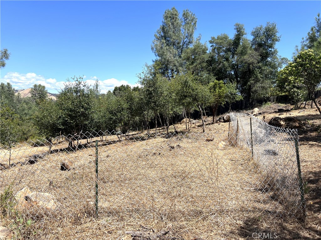 15686 23rd Avenue Property Photo 4