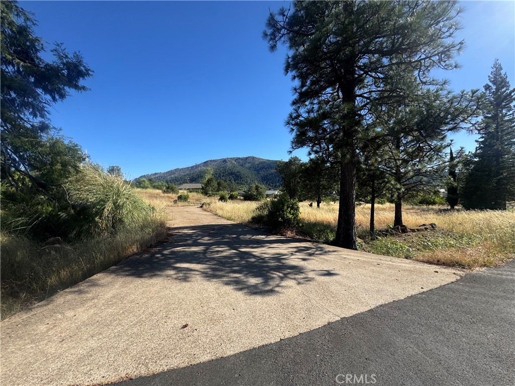 9729 Hoberg Drive E Property Photo 1