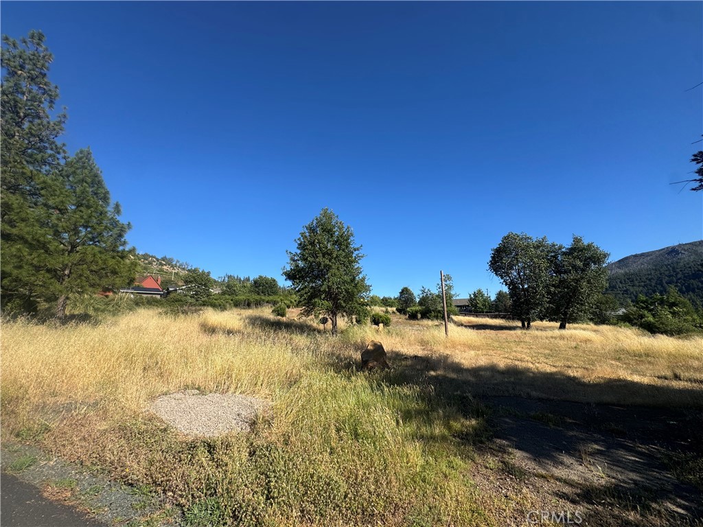 9729 Hoberg Drive E Property Photo 2