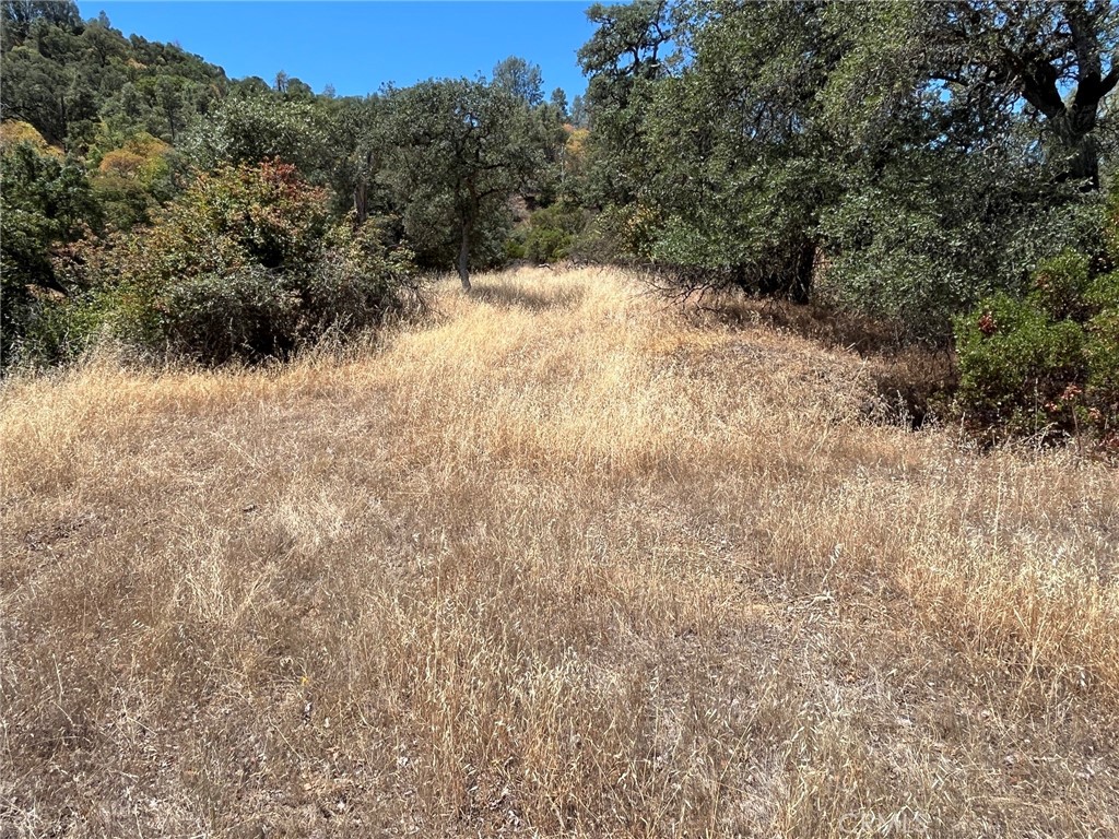 11480 North Property Photo 6