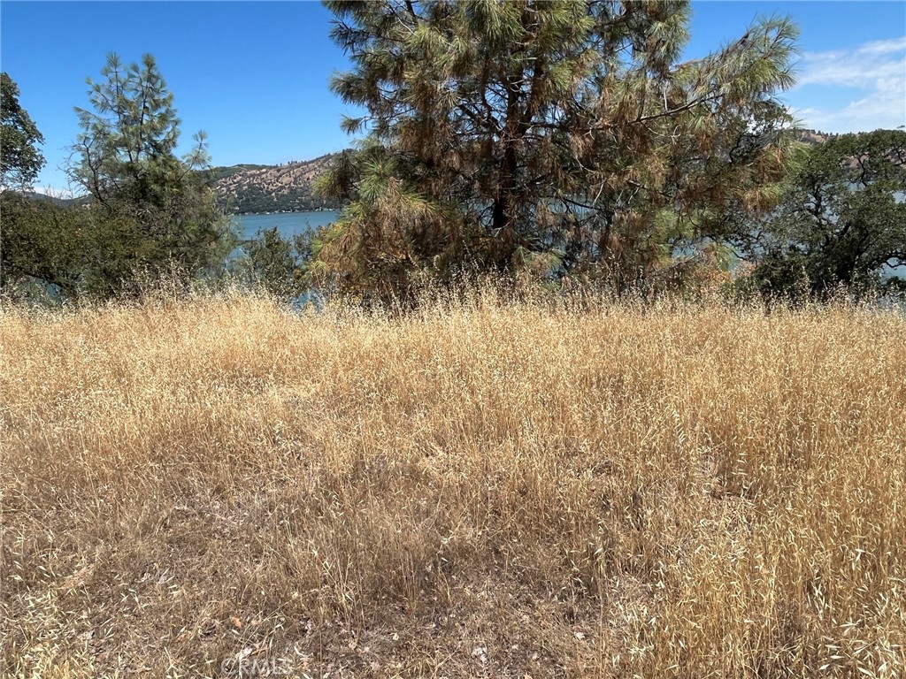 11480 North Property Photo 8