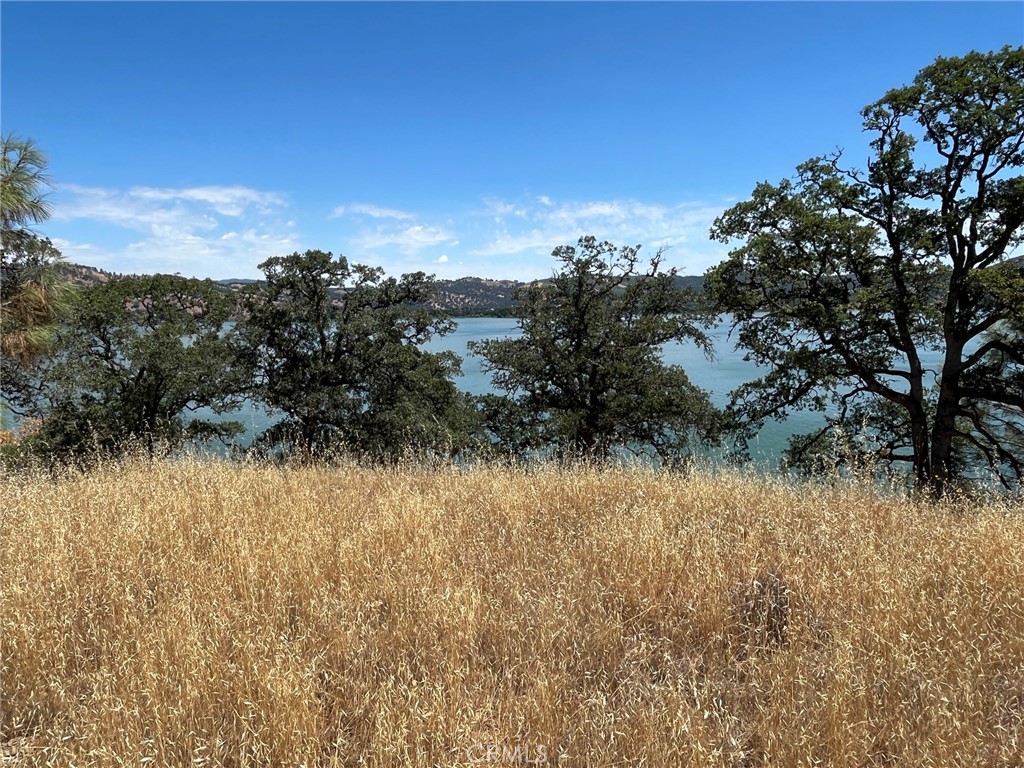 11480 North Property Photo 9