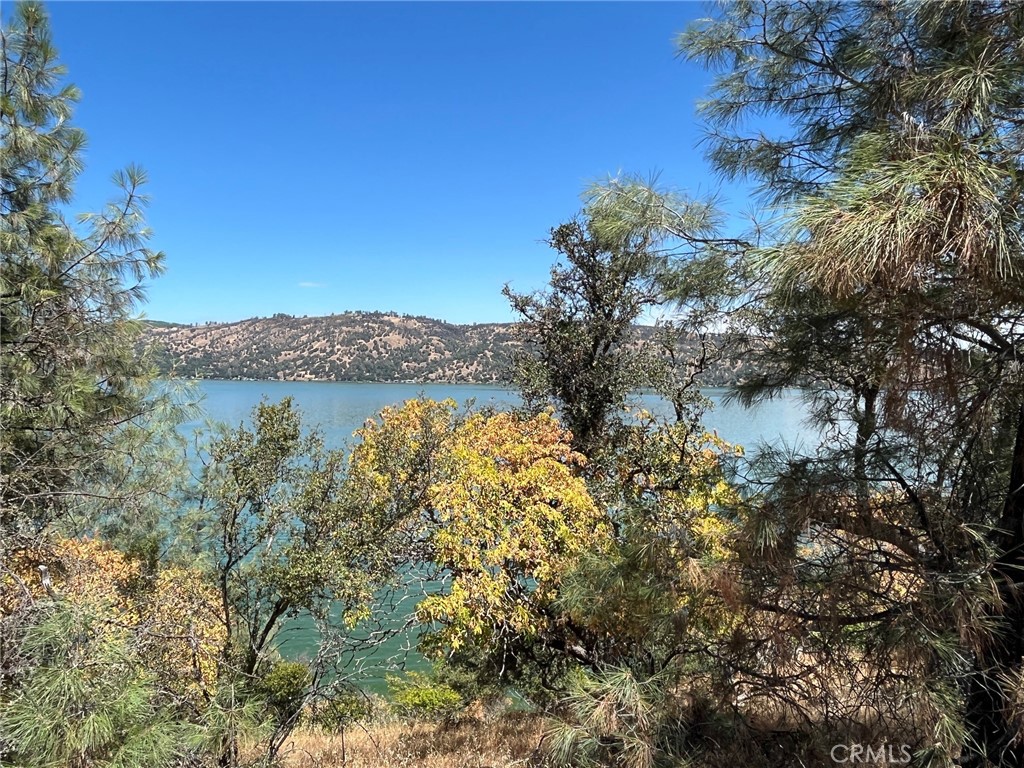 11480 North Property Photo 11