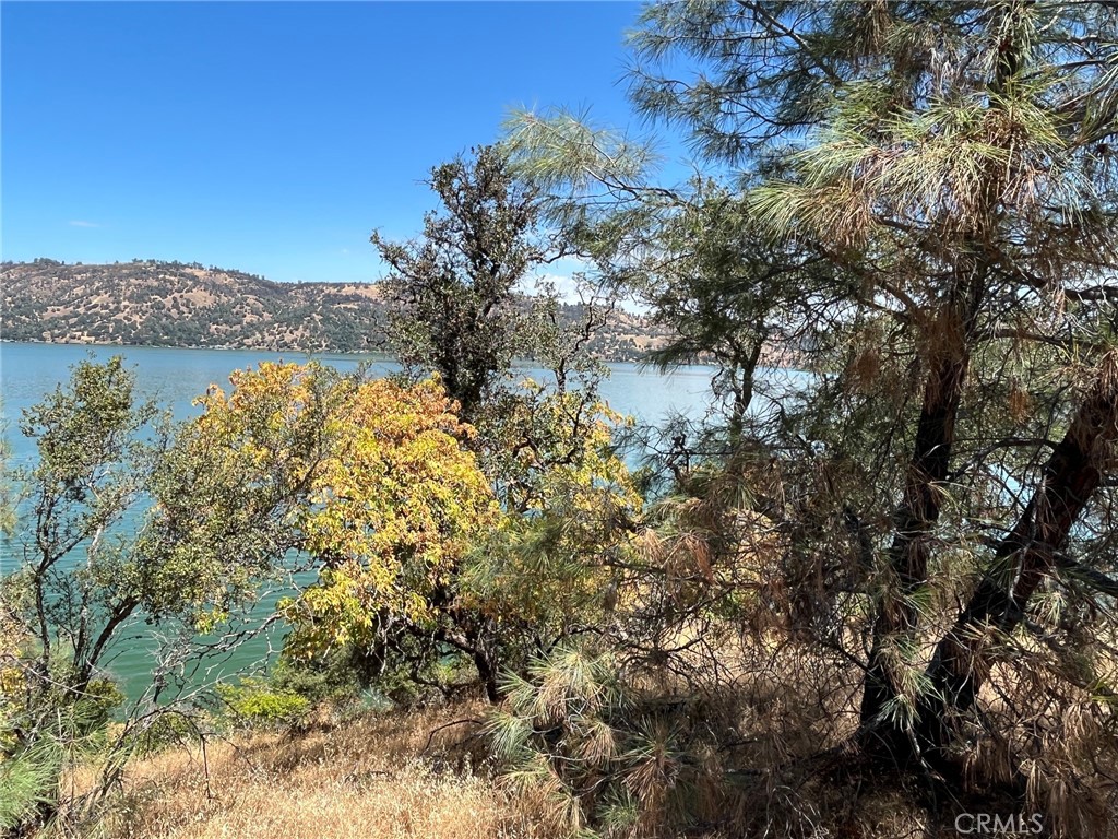 11480 North Property Photo 12