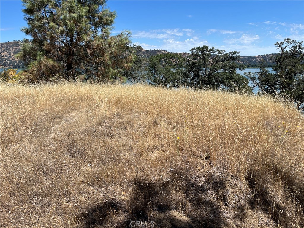 11480 North Property Photo 16