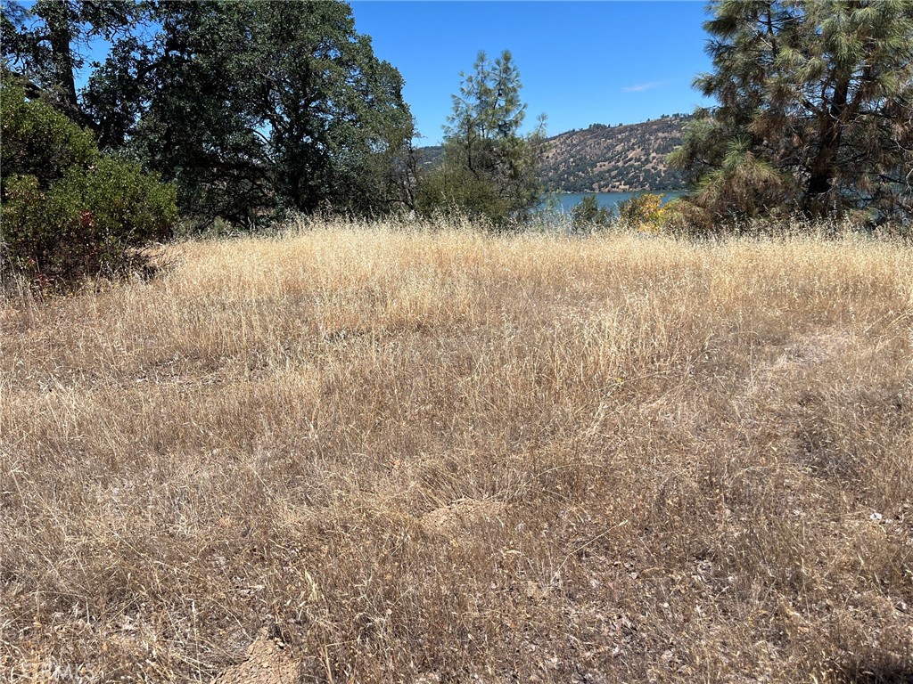 11480 North Property Photo 17