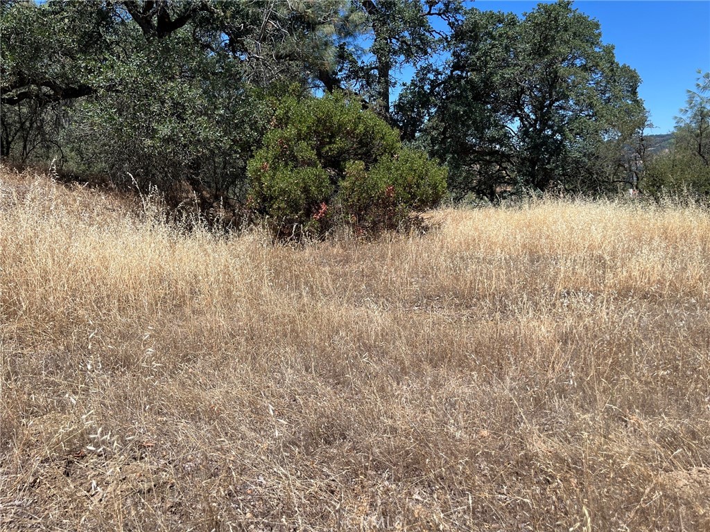 11480 North Property Photo 18