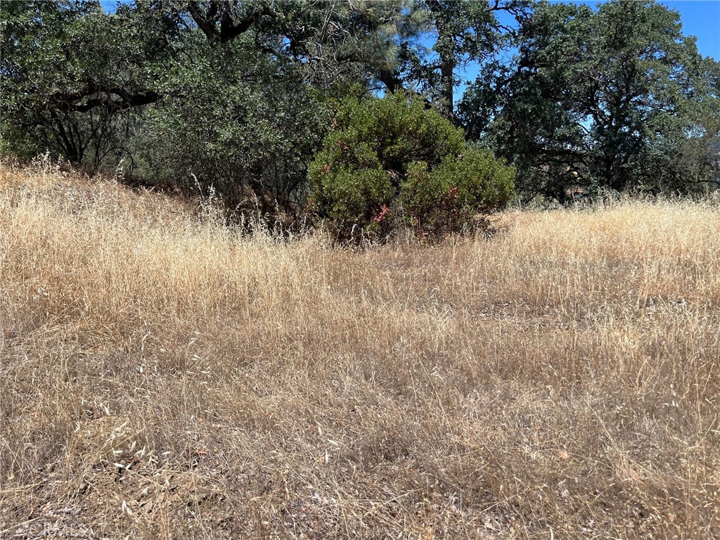 11480 North Property Photo 19