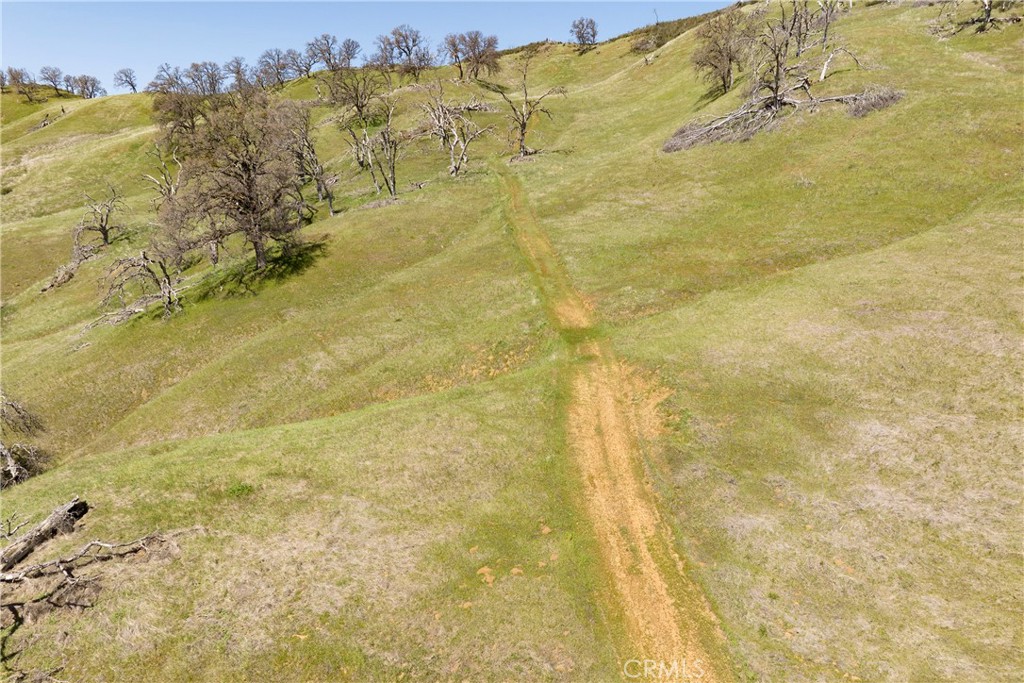 9250 Sky High Ridge Road Property Photo 6