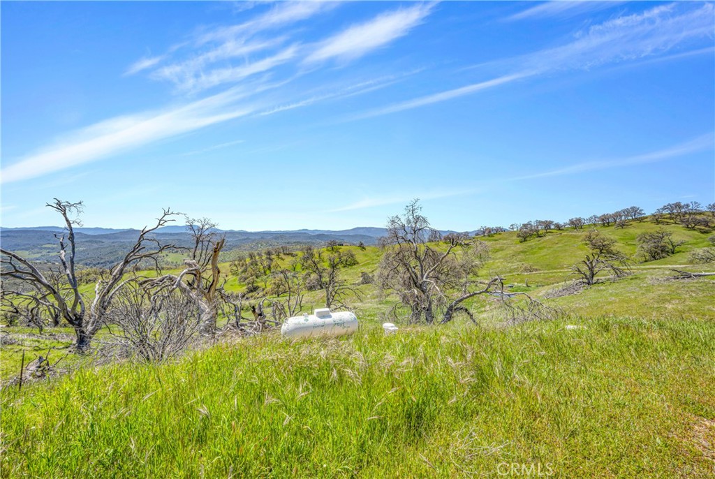 9250 Sky High Ridge Road Property Photo 12