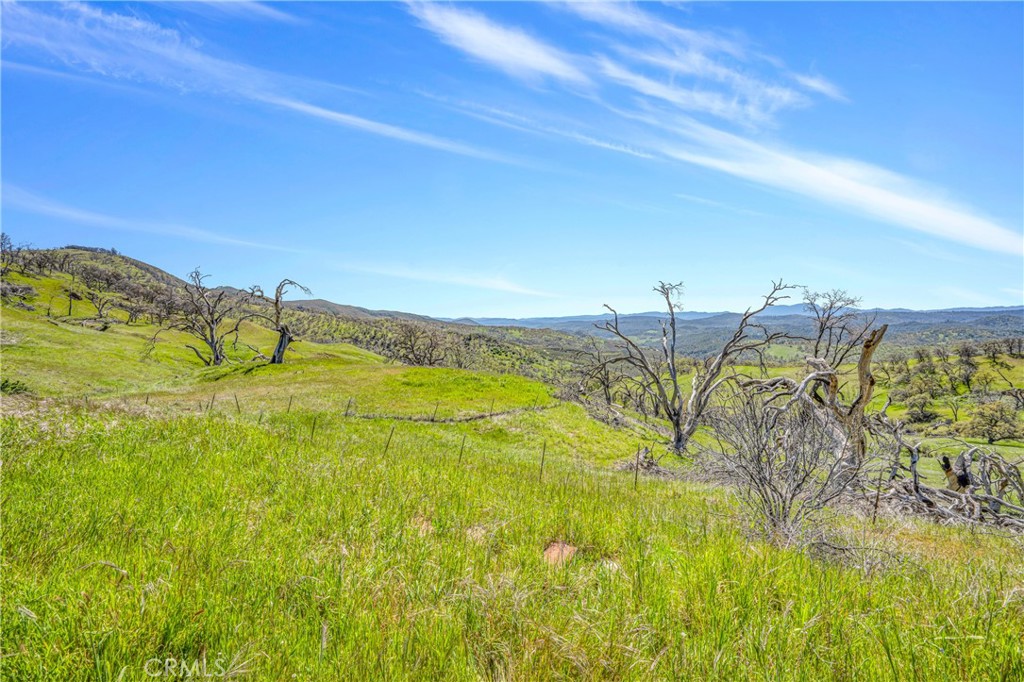 9250 Sky High Ridge Road Property Photo 13