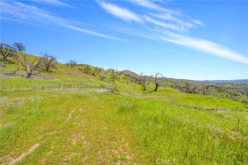 9250 Sky High Ridge Road Property Photo 15