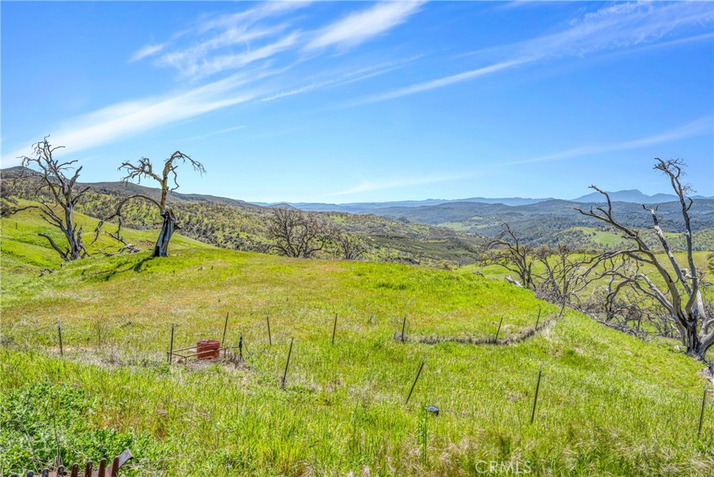 9250 Sky High Ridge Road Property Photo 16